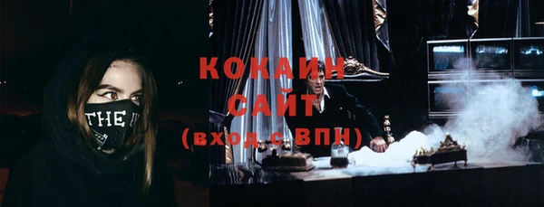 прущие грибы Вяземский
