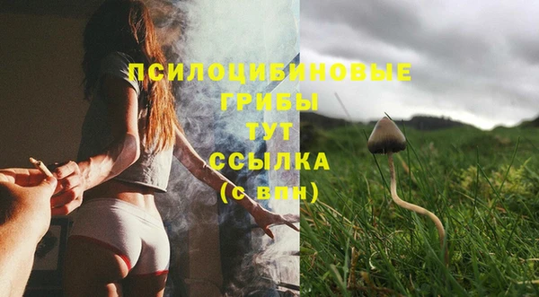 прущие грибы Вяземский