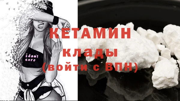 прущие грибы Вяземский