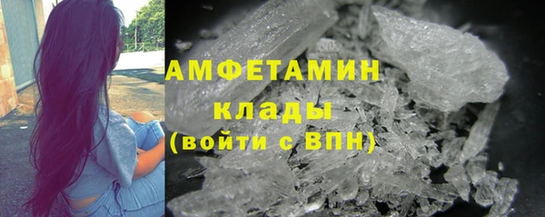 прущие грибы Вяземский